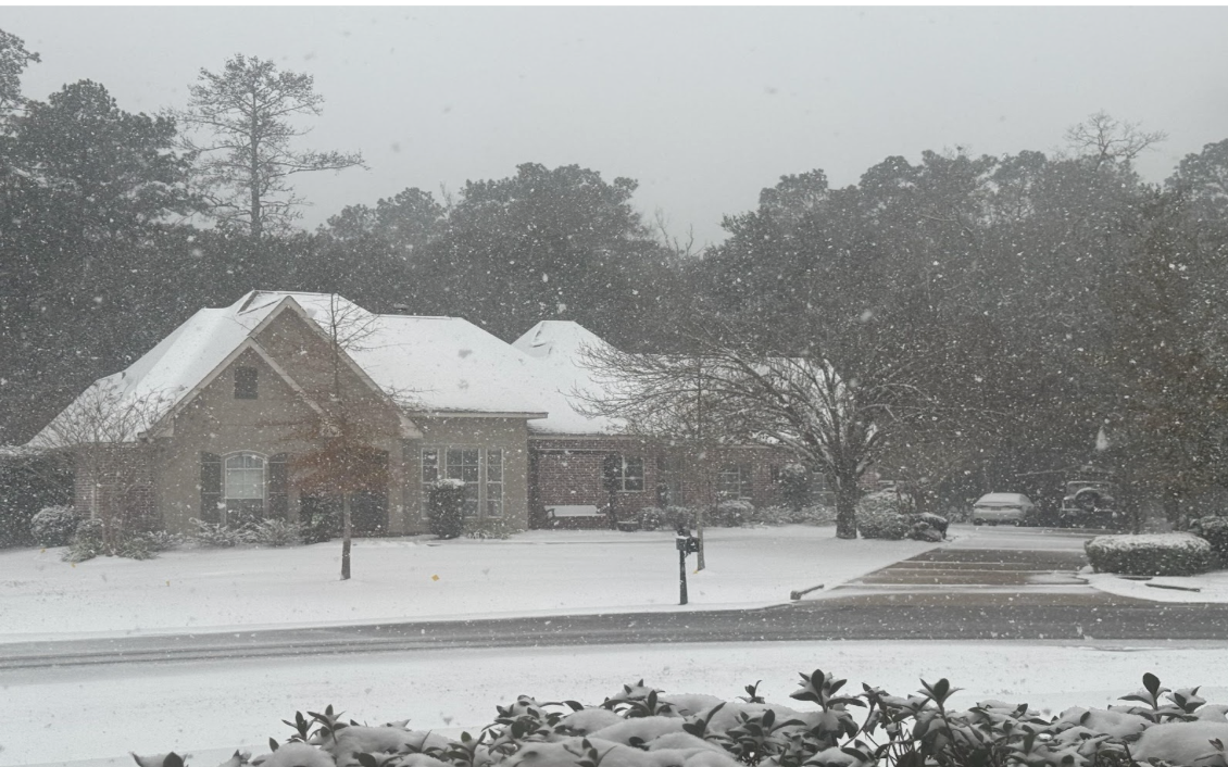 Snow day in Louisiana